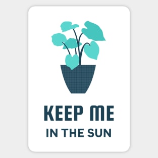 Keep Me In The Sun Sticker